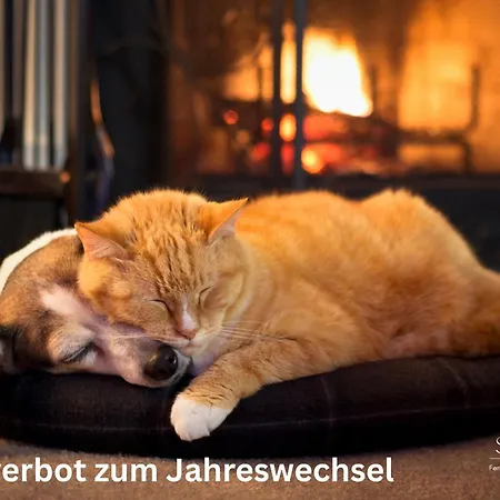 Caras Hus Midlum (Schleswig-Holstein)