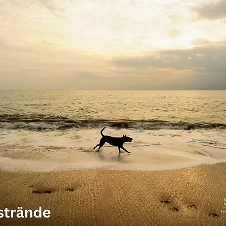 Caras Hus Дом отдыха *