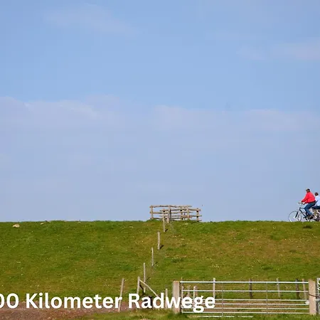 Дом отдыха Caras Hus